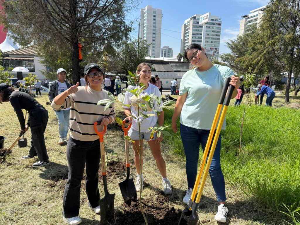 Estudiantes y docentes del Voluntariado UMAD preparando el terreno para la reforestación.